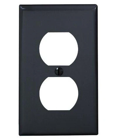 1-Gang Duplex Device Receptacle Wall Plate, Standard Size, Thermoplastic Nylon, Device Mount, 80703 - Image 2